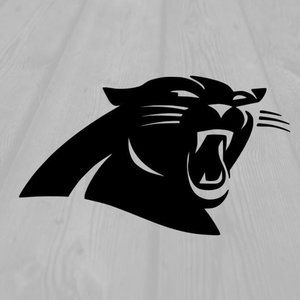NFL Football CAROLINA Panthers Logo Vinyl Decal